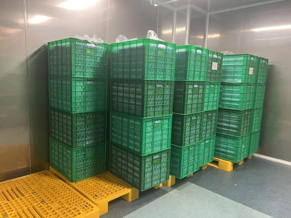 Package Cleaning and Sterilization