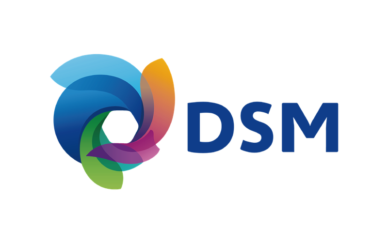 DSM